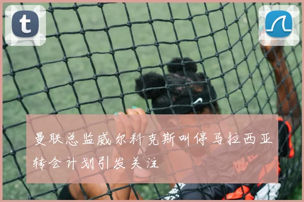 曼联总监威尔科克斯叫停马拉西亚转会计划引发关注